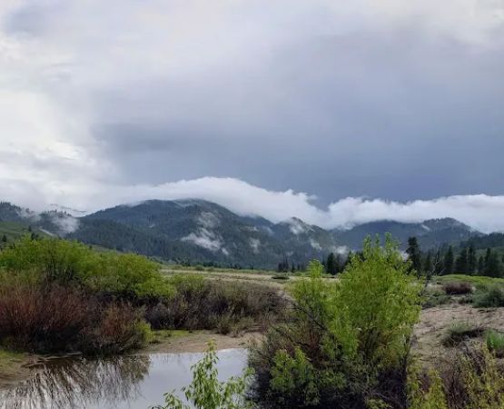 Canyon Campground