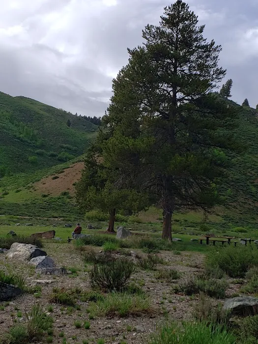 Canyon Campground 3