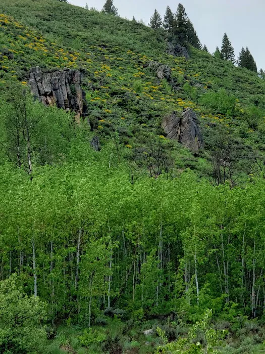Canyon Campground 4