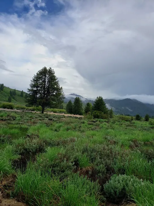 Canyon Campground 5
