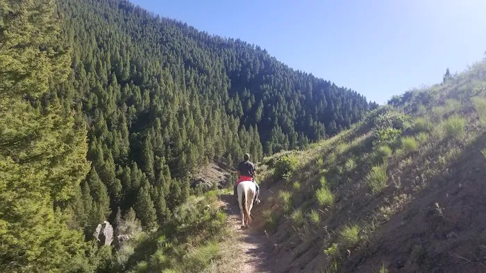 Canyon Transfer Camp 1