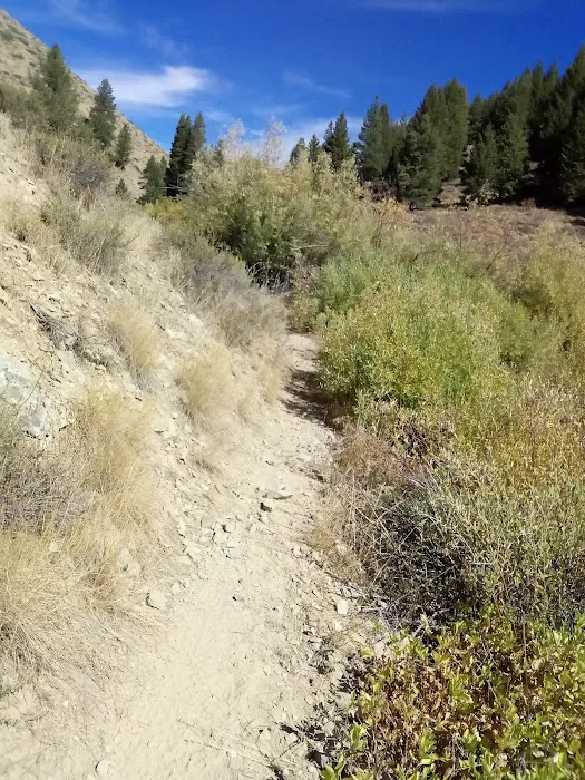Lime Creek Campground 0