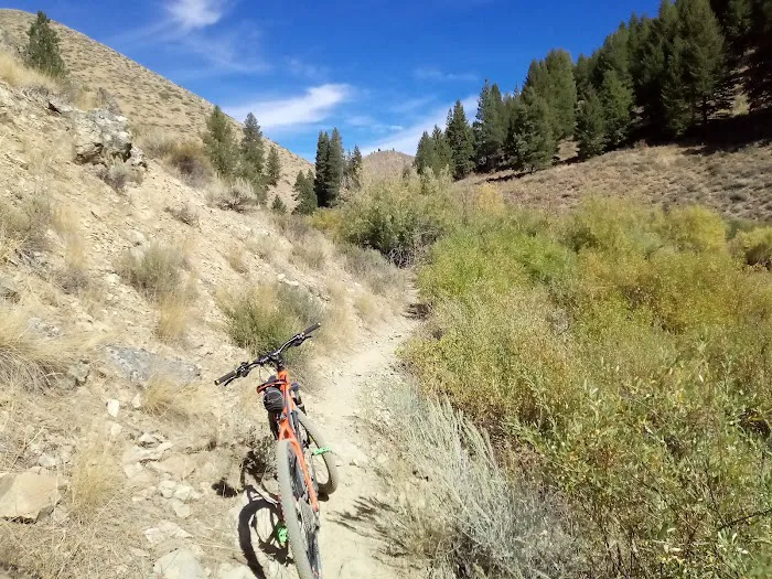 Lime Creek Campground 3
