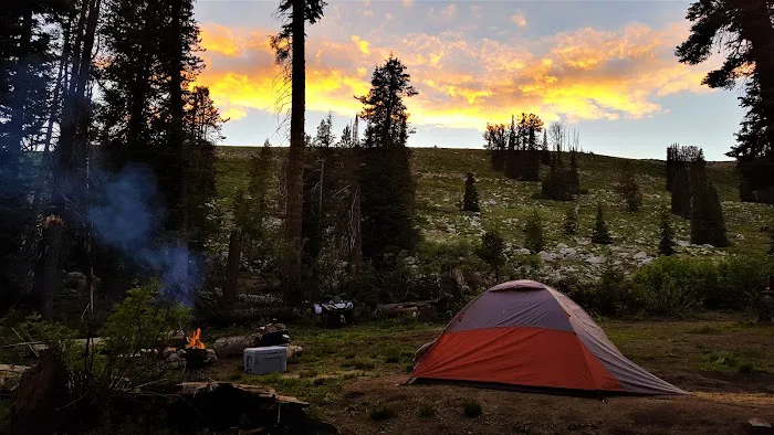 Cold Spring Campground 1