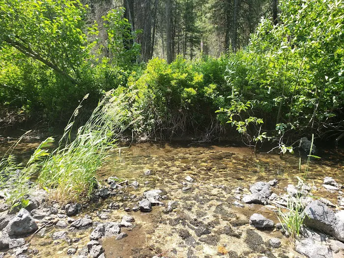 Ice Springs Campground 8