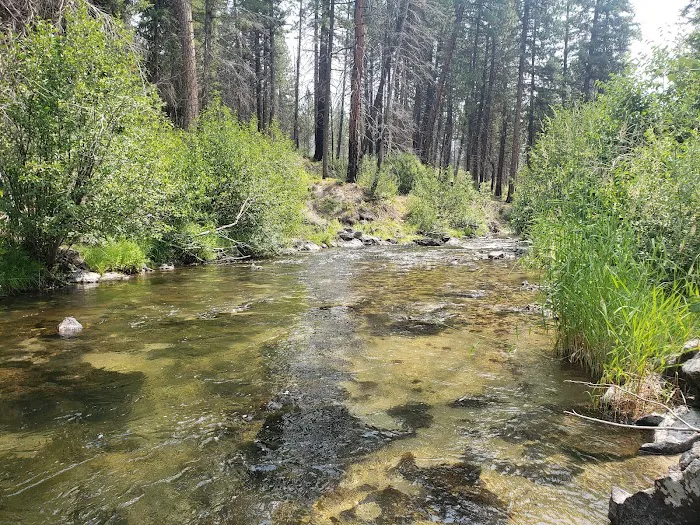 Ice Springs Campground 4