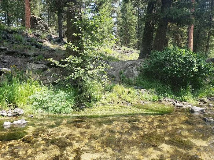Ice Springs Campground 6
