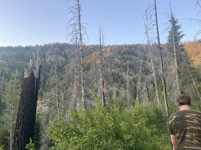 Ice Springs Campground 9
