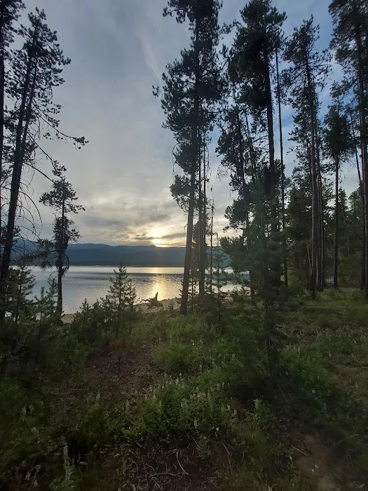 Barney's Campground 9