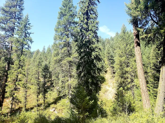 Trail Creek Campground 2