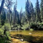 Trail Creek Campground