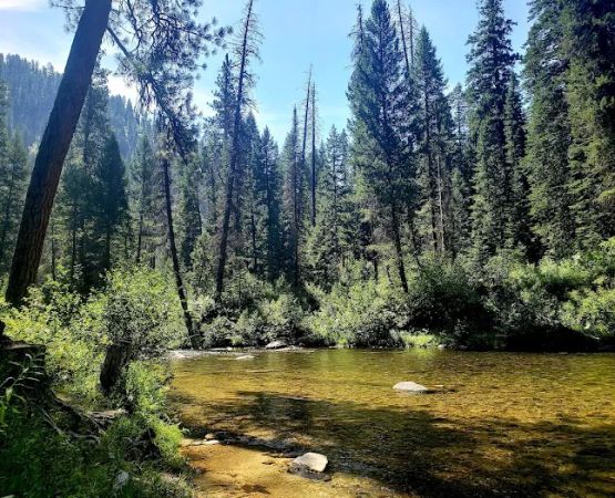 Trail Creek Campground