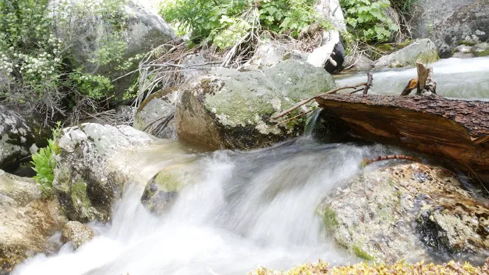 Trail Creek Campground 4