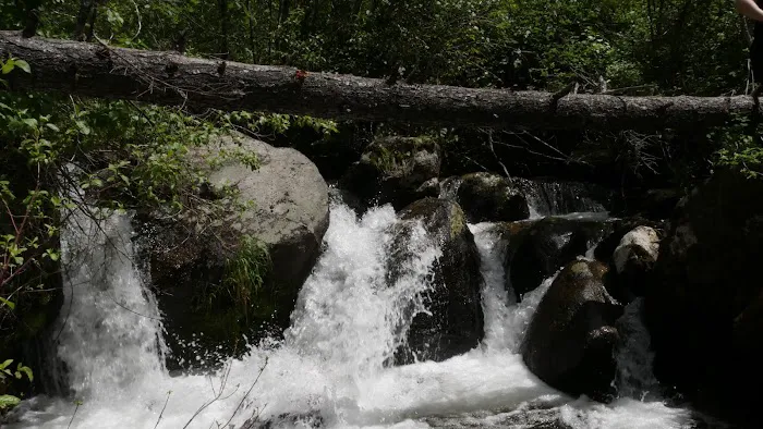 Trail Creek Campground 8