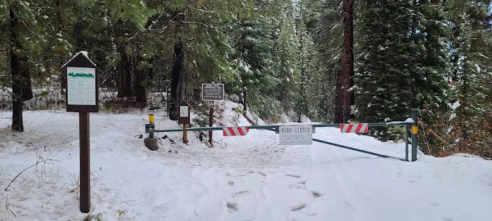 Boiling Springs Cabin 9