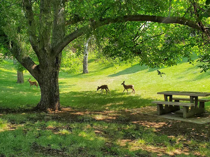 Woodhead Park Campground 4