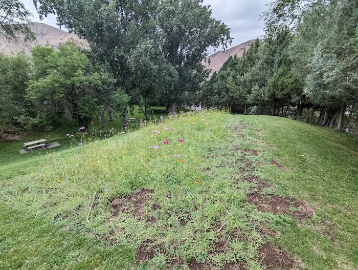 Woodhead Park Campground 7