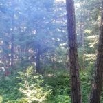 Spring Creek Campground