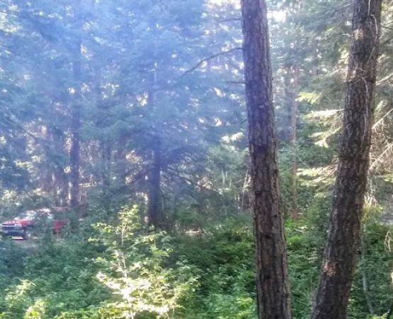 Spring Creek Campground