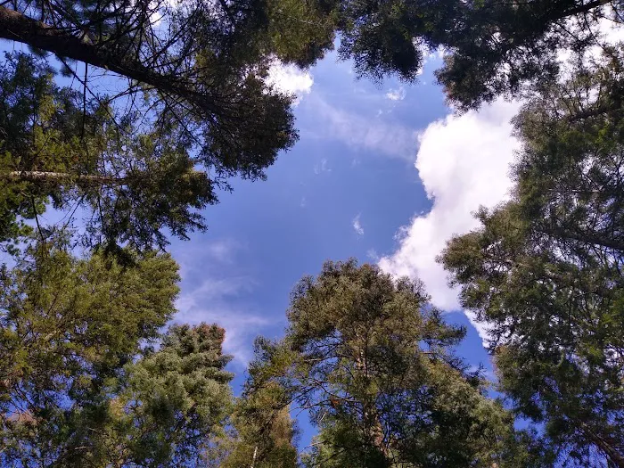 Spring Creek Campground 1