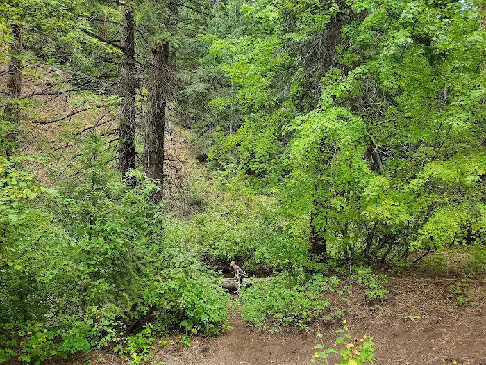 Spring Creek Campground 6