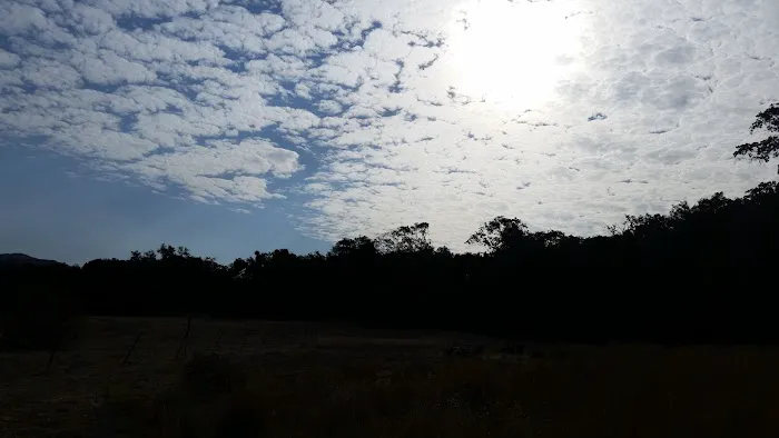 Paradise Campground 5