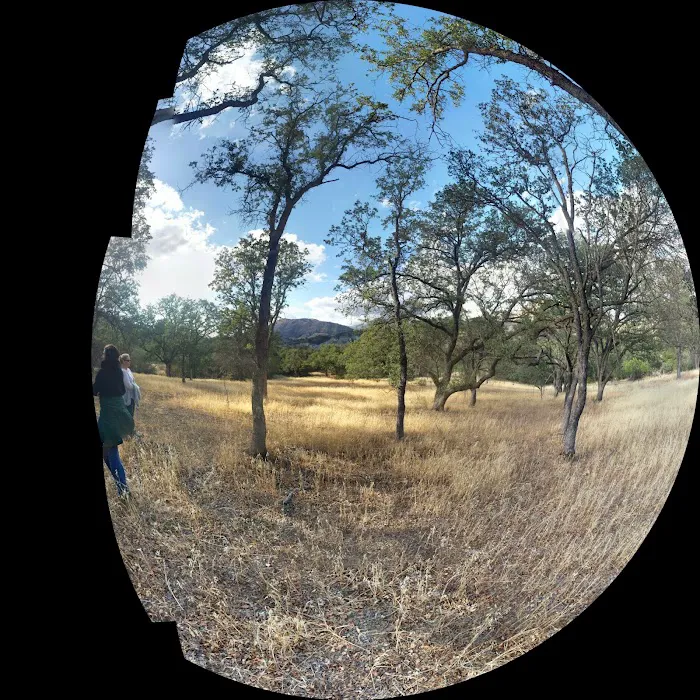 Paradise Campground 4