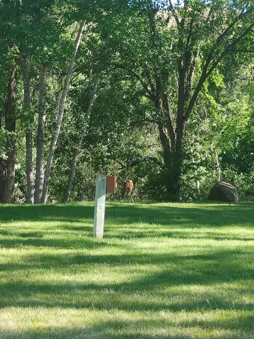 Copperfield Campground 9