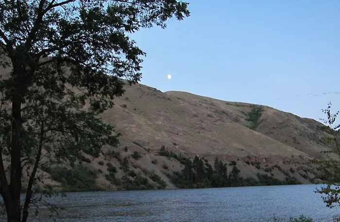 US Forest Service 3