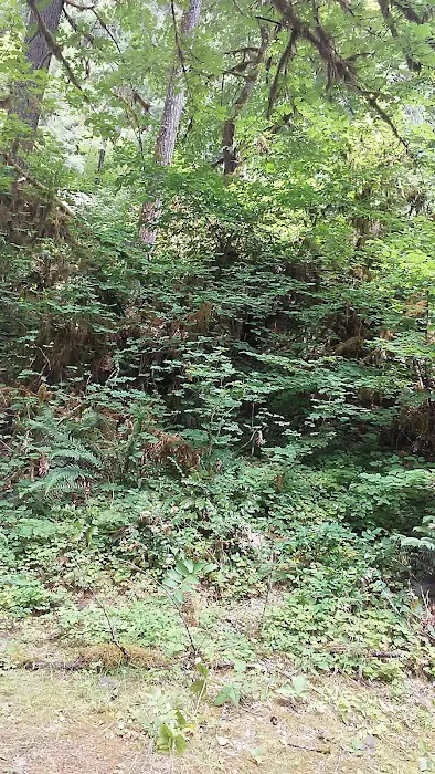Lake Fork Campground 9