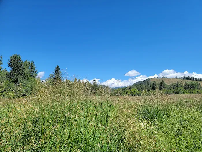 Pine Valley Extreme 5