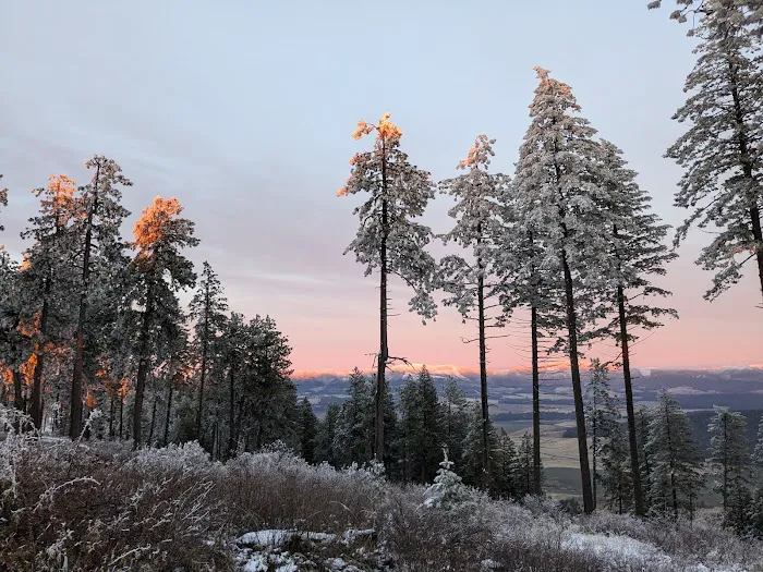 Iron Mountain Campground 3