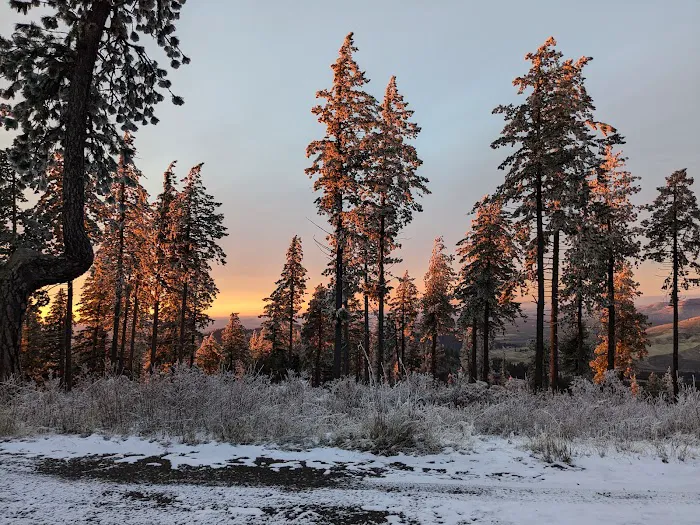 Iron Mountain Campground 1