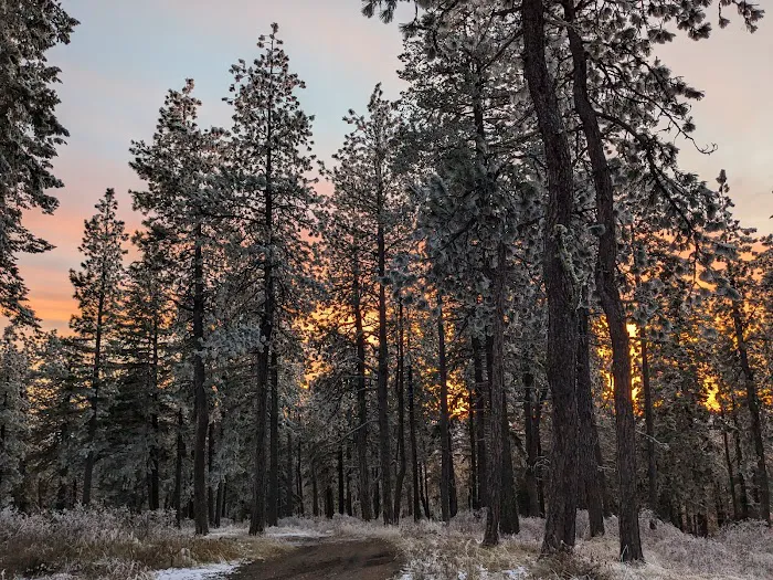 Iron Mountain Campground 5