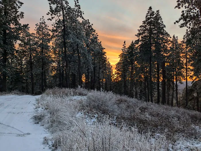Iron Mountain Campground 2