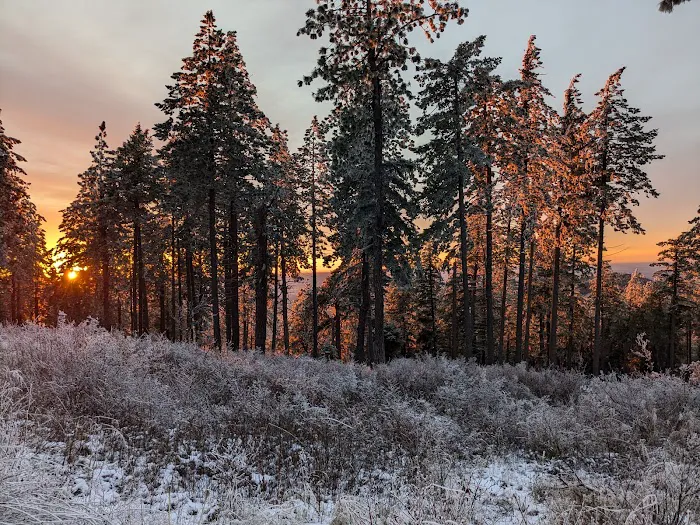 Iron Mountain Campground 8