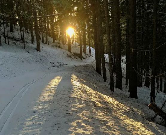 Palouse Divide Nordic Ski Area (recgovnpsdata)