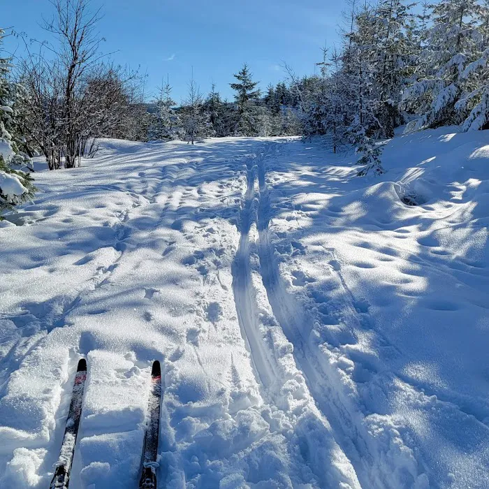 Palouse Divide Nordic Ski Area (recgovnpsdata) 7