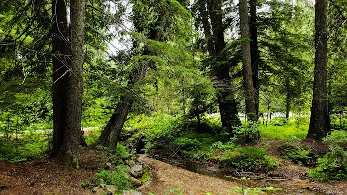 Giant White Pine Campground and Trailhead 8