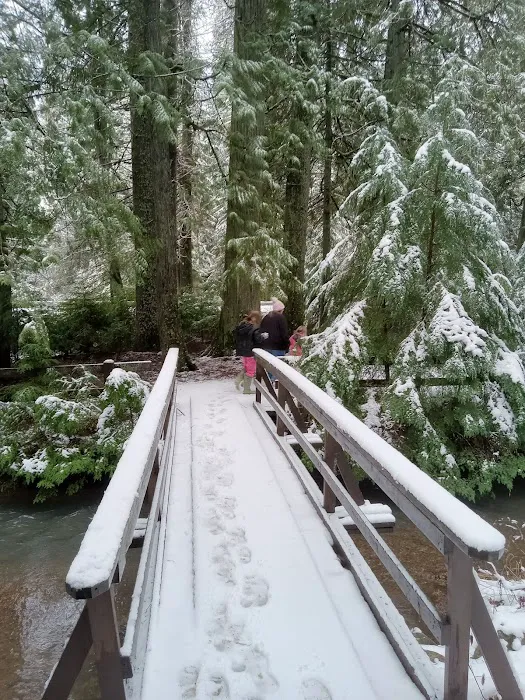 Giant White Pine Campground and Trailhead 9