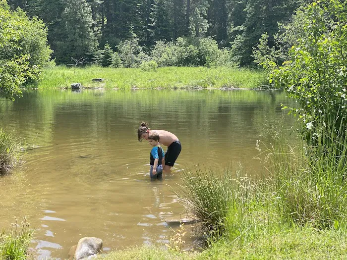 Laird Park Campground 0