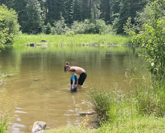Laird Park Campground