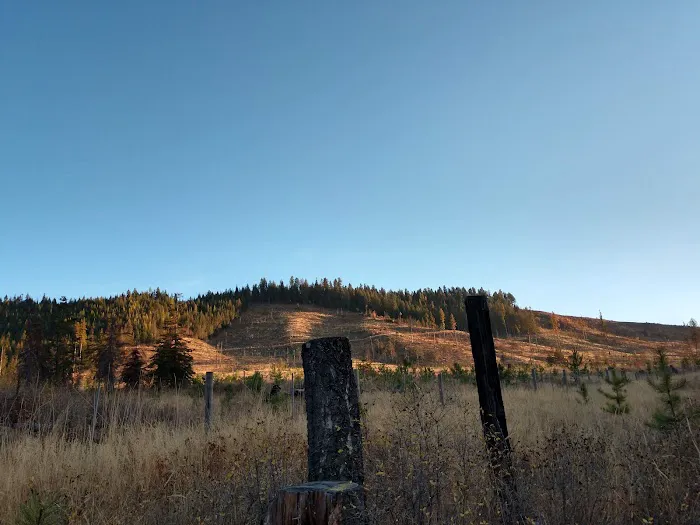 Laird Park Campground 7