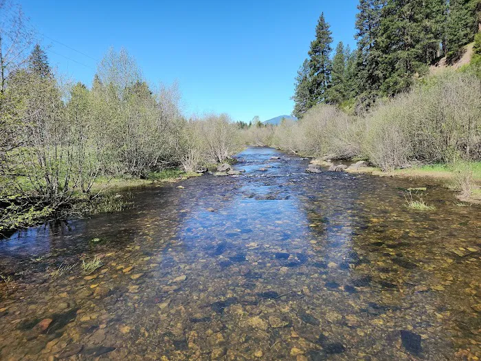 Laird Park Campground 8