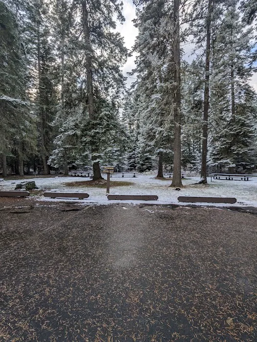 Laird Park Campground 6