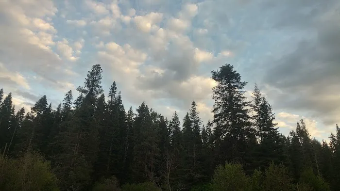 Laird Park Campground 4