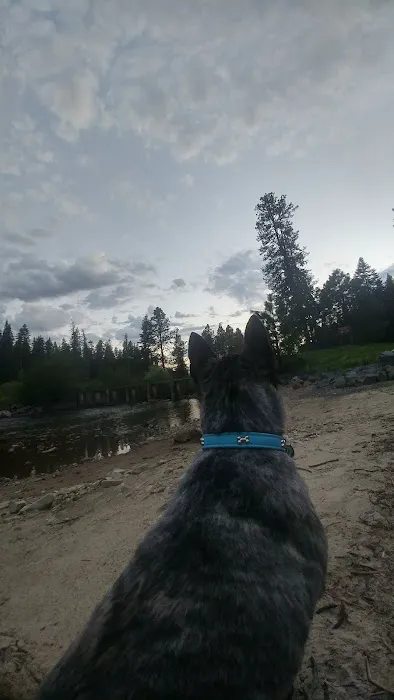 Laird Park Campground 9