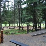 Three Meadows Group Camp