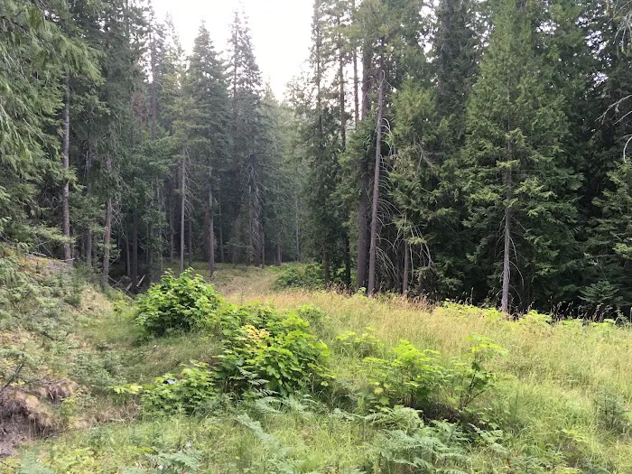 Three Meadows Group Camp 8
