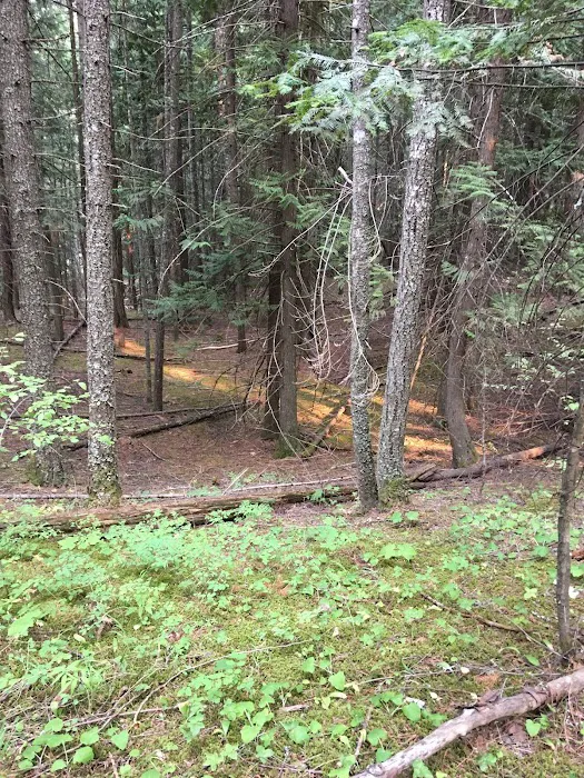 Three Meadows Group Camp 7